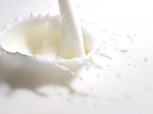 elhordja a zsírt tej