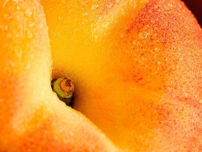 Szexi antioxidáns