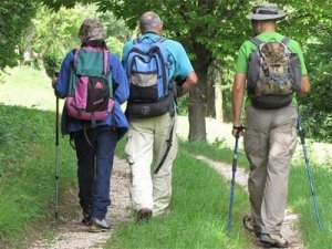 Egyszerűen menjünk a szabadba! Kezdjük a reggeli mozgást a teraszon, a kertben, vagy a parkban és rögtön más lesz a napunk ! Hétvégén irány a természet !