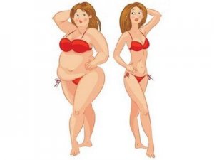 A zöld tea Gátolja a zsírszövetek lerakódását, ezzel minden diéta hathatós kiegészítője.