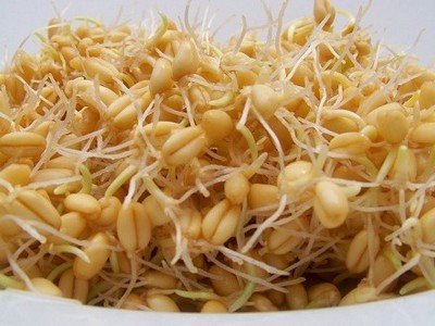  „élő „ vitaminbomba a búzacsíra, illetve a búzacsírából készített édesség ! 